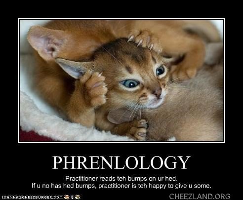 lcb-phrenology.jpg