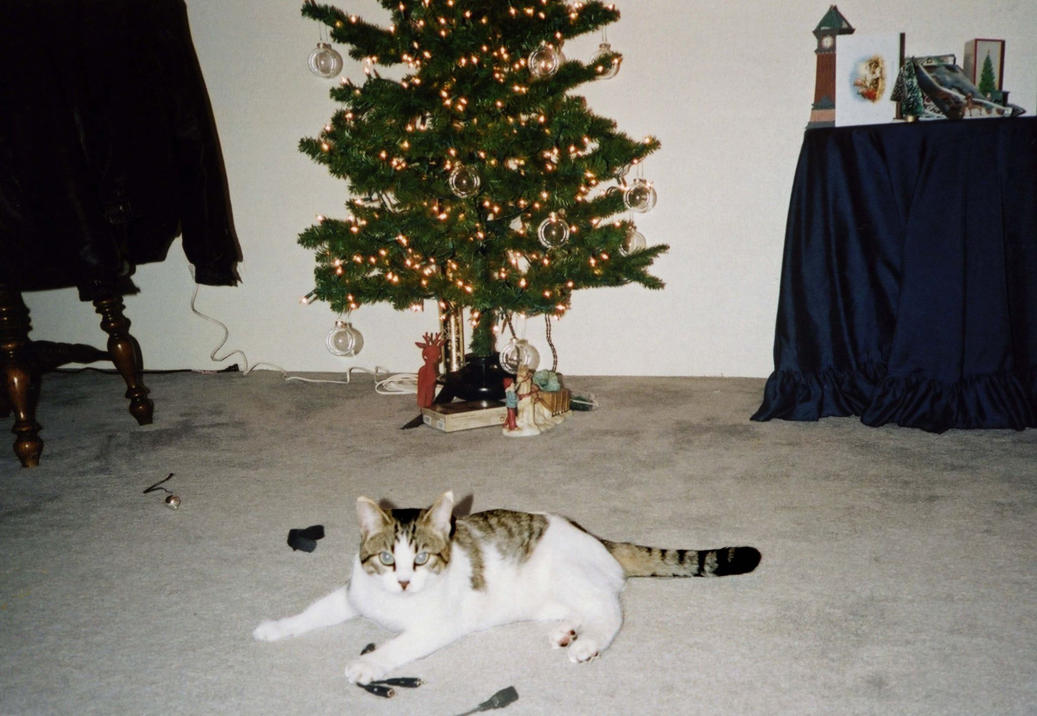 Macy-December 25, 2001