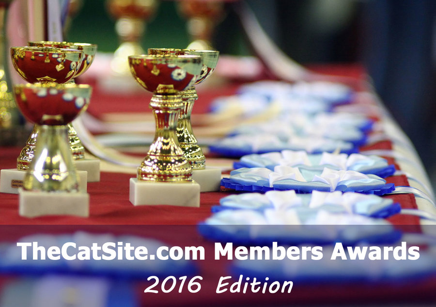 members-awards-thread.jpg