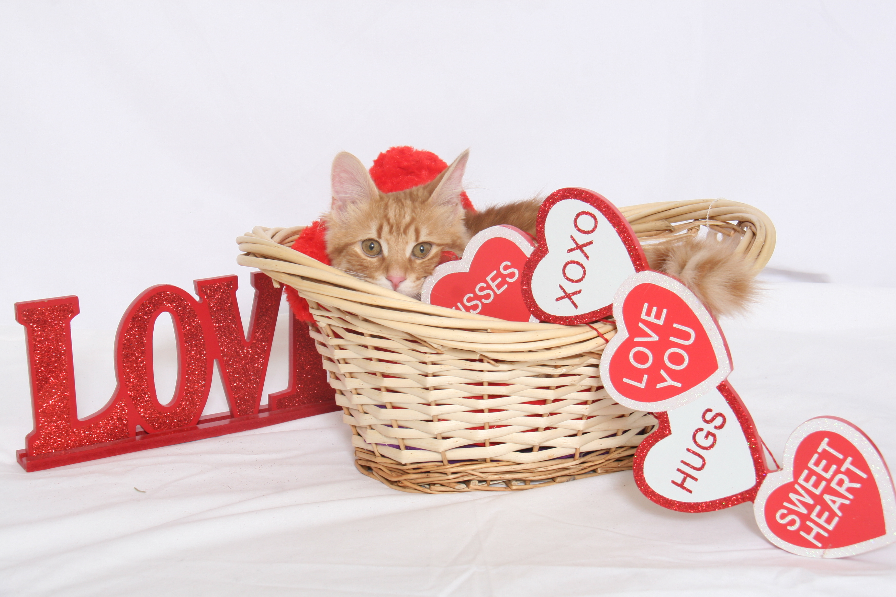 Mommy's Basket of Love
