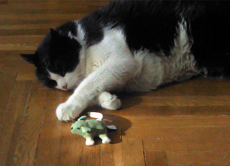 mouse toy2.jpg