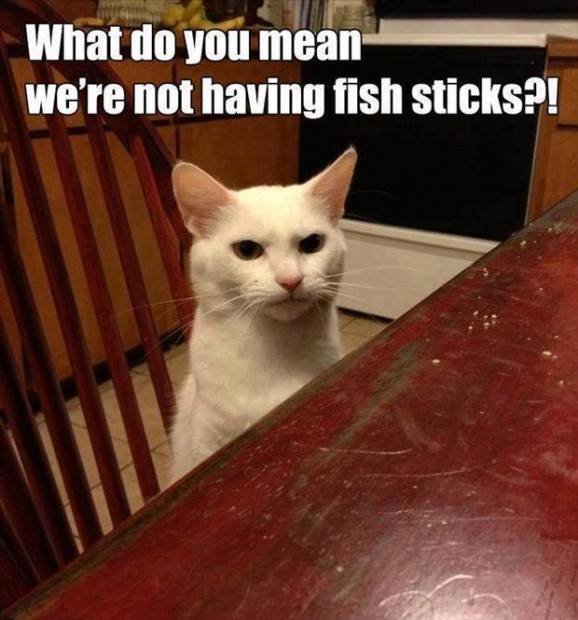 no fish sticks.jpg