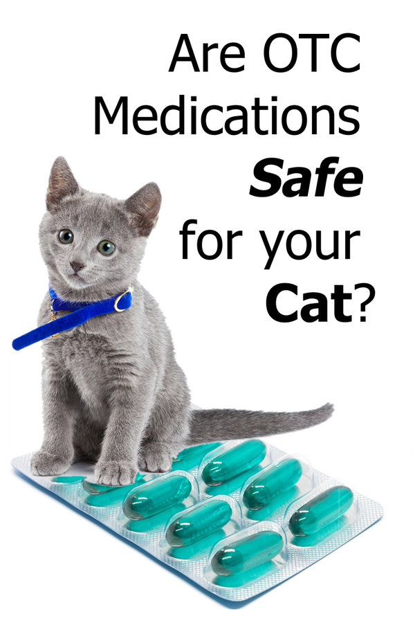 Are Otc Medications Safe For Your Cat? TheCatSite