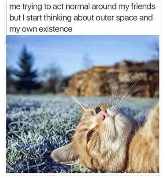 outerspace cat.jpg