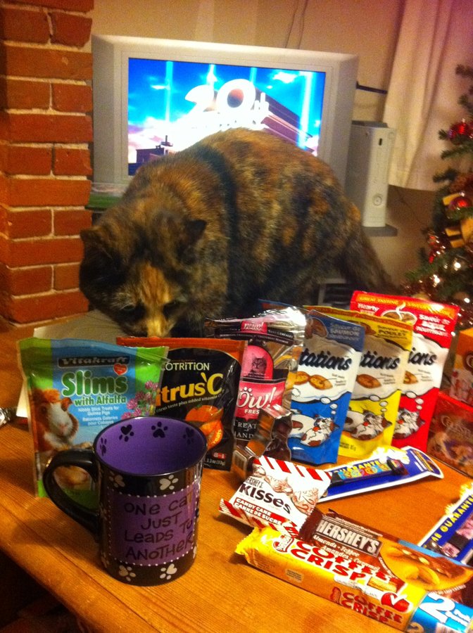 Roxy checking out the haul!.JPG