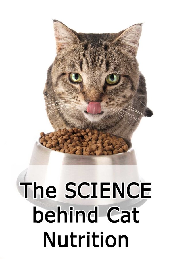 science-cat-nutrition.jpg