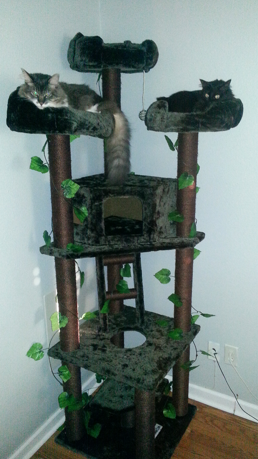 Kitty Mansions Redwood Cat Tree