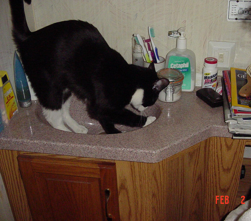 - Shelly cleaning sink.jpg