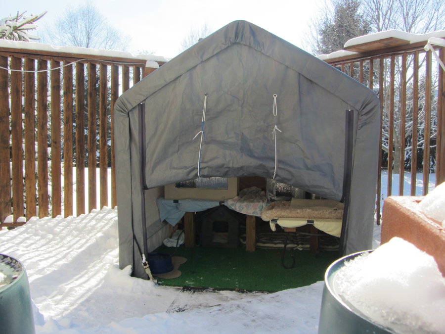 Shelter January 2015 #2.JPG