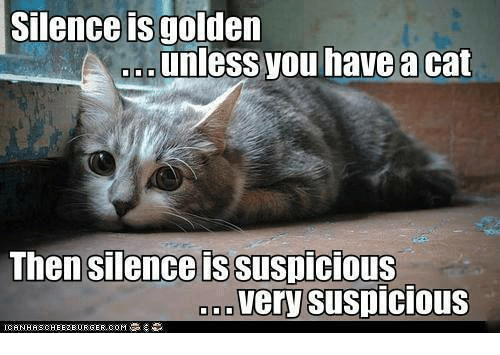 suspicious cat meme