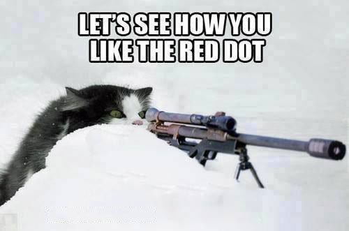 sniper kitty 2.jpg