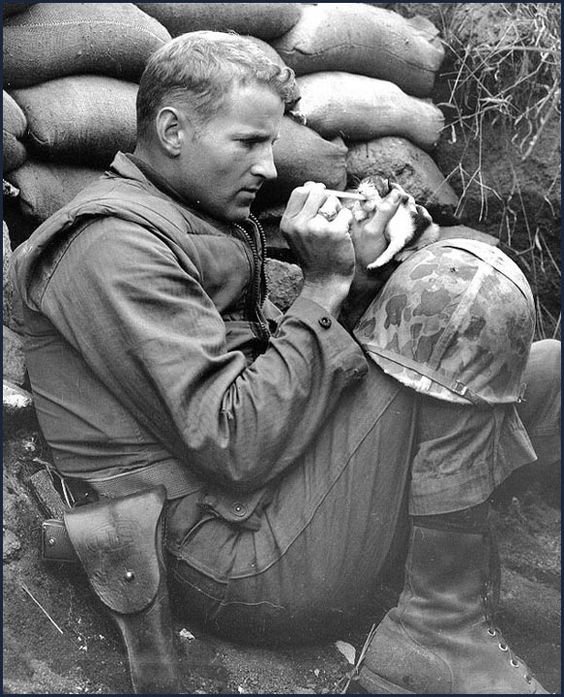 soldier feeding baby kitten.jpg