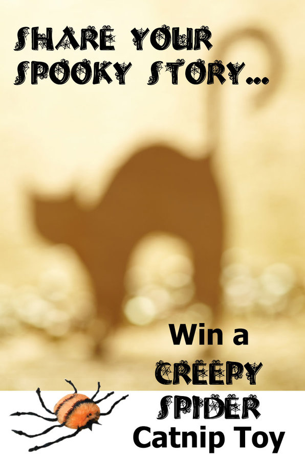 spooky-story-contest.jpg