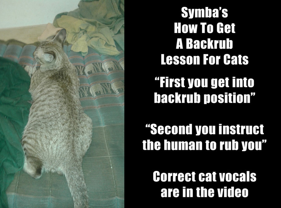 symba-back-rub-lesson-WEB.jpg