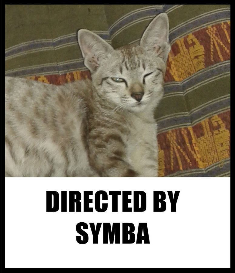 Symba's-Trip-To-The-Vet4.jpg