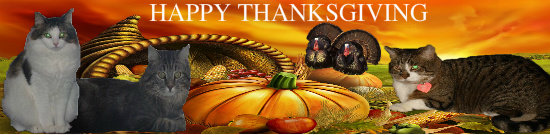 ThanksgivingSignature.jpg