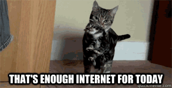 thats-enough-internet-cat-mother-meme.gif