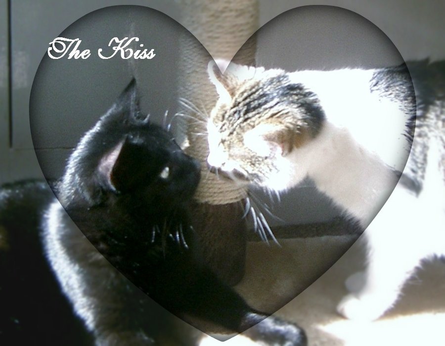 THE KISS with heart.jpg