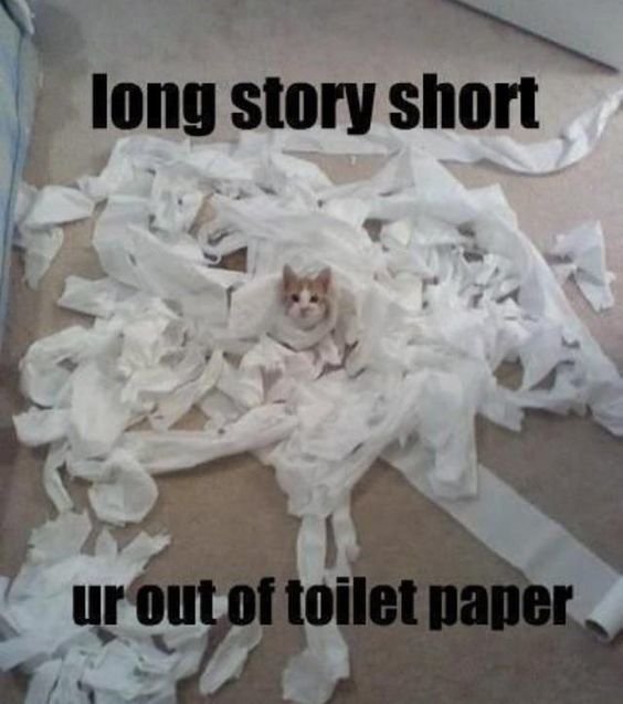 toilet paper.jpg