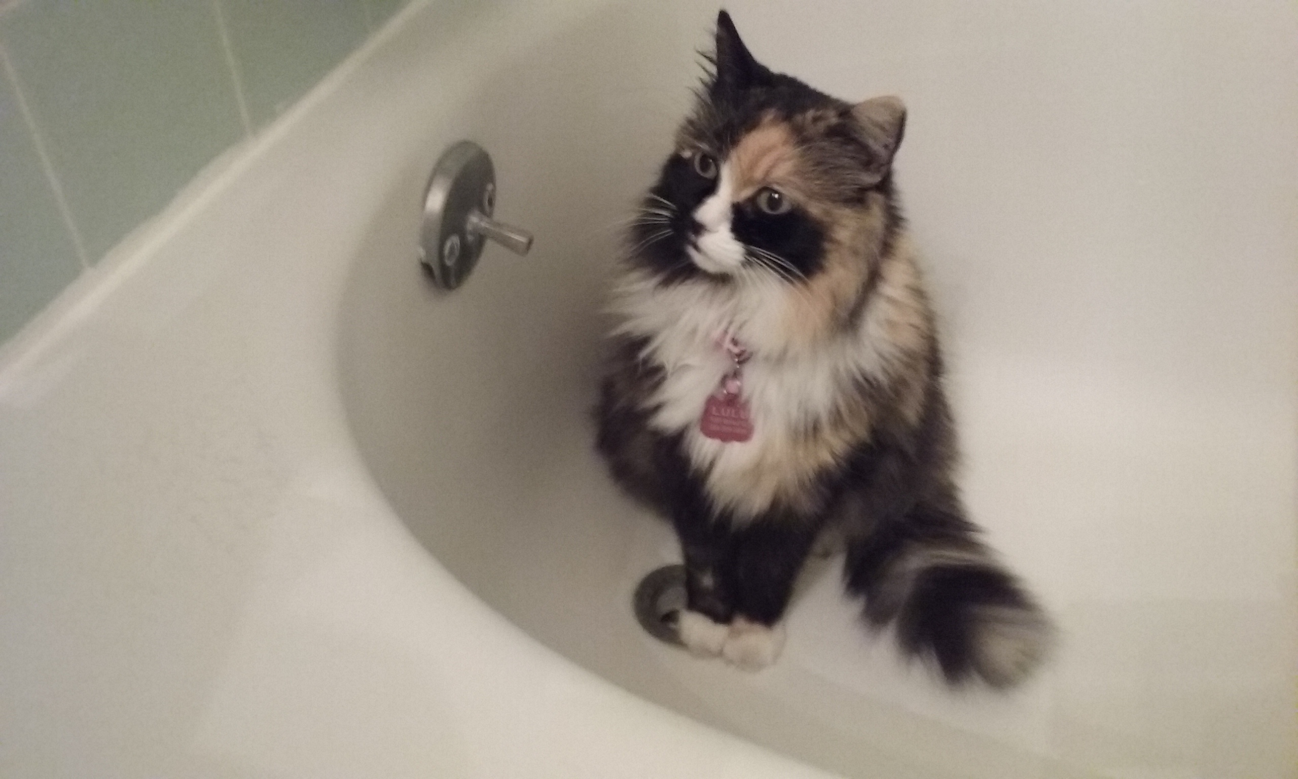 Wanna join me for a bath?