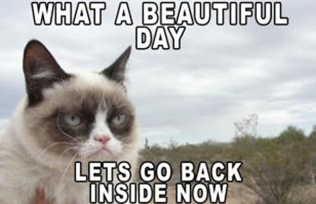 What-A-Beautiful-Day-Lets-Go-Back-Inside-Now-Funny | TheCatSite