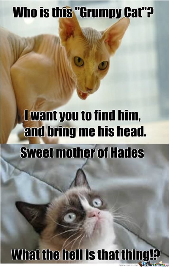 Who-Is-This-Grumpy-Cat-Funny-Meme-Image.jpg