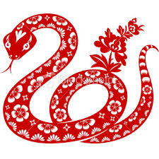 Year of the Snake.jpeg