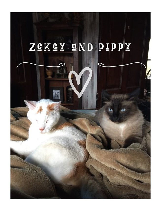 Zekey and Pip .jpg