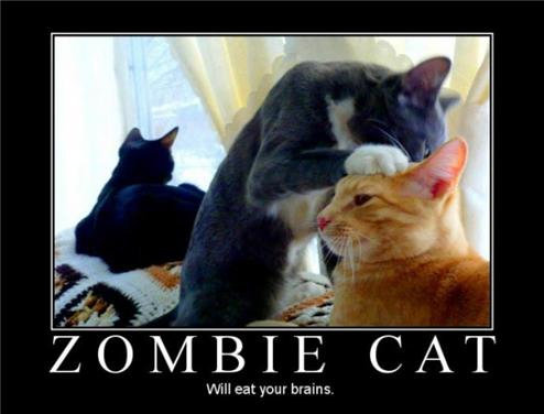 Zombie-cat-demotivational-s.jpg
