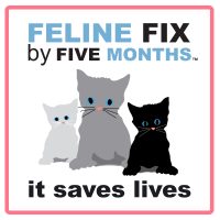 www.felinefixbyfive.org