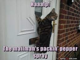 Lolcats - mailman - LOL at Funny Cat Memes - Funny cat pictures with words  on them - lol | cat memes | funny cats | funny cat pictures with words on