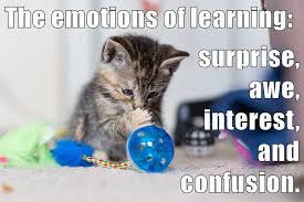 The emotions of learning: surprise, awe, interest and conf… | Flickr