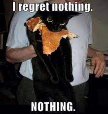 I regret nothing - Cat Meme Of The Decade - lol | cat memes | funny cats |  funny cat pictures with words on them | funny pictures | lol cat memes |  lol cats