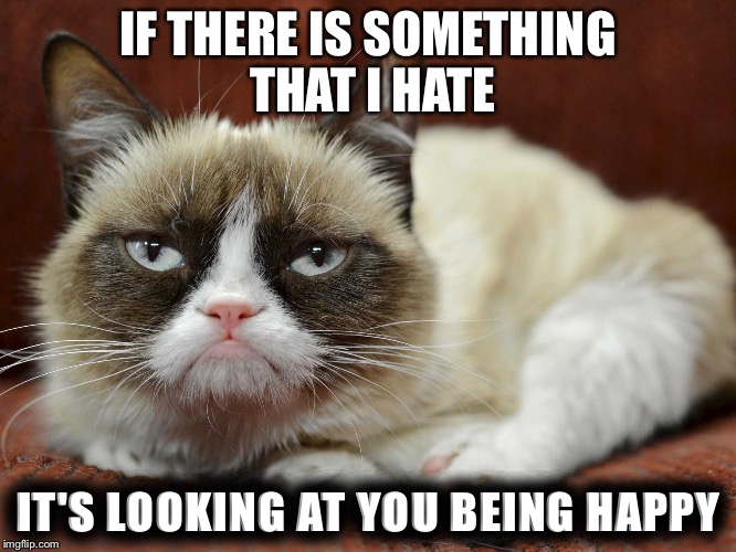 Image tagged in grumpy cat,savage memes,grumpy cat memes - Imgflip