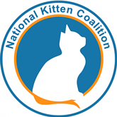 kittencoalition.org
