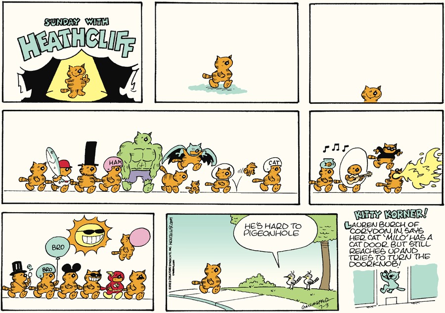 Heathcliff Comic Strip for July 03, 2022 