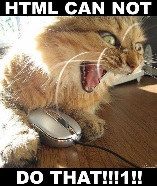 HTML CAN NOT DO THAT!!!1!! | Created with the LolCat Builder… | Flickr