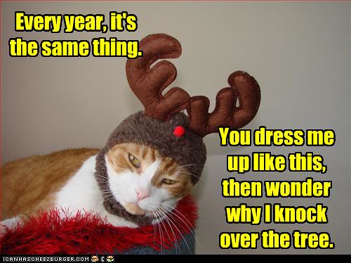 funny-pictures-cat-is-dressed-as-reindeer | Rikki's Refuge | Flickr