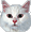 :whitecat: